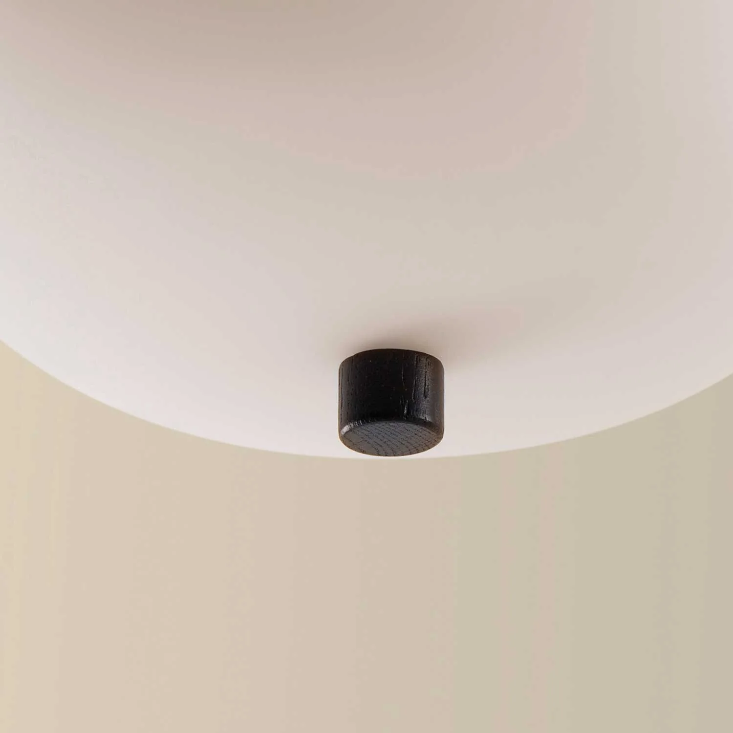 Image du produit 18